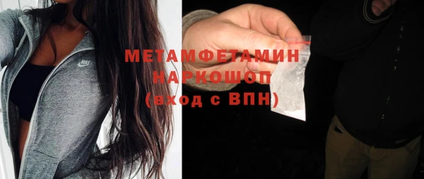 ГАЛЛЮЦИНОГЕННЫЕ ГРИБЫ Верея