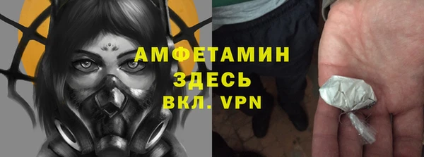ГАЛЛЮЦИНОГЕННЫЕ ГРИБЫ Верея
