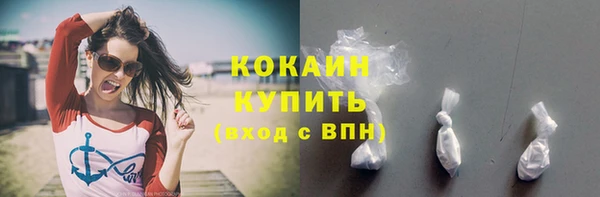 ГАЛЛЮЦИНОГЕННЫЕ ГРИБЫ Верея