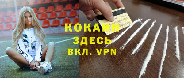 ГАЛЛЮЦИНОГЕННЫЕ ГРИБЫ Верея